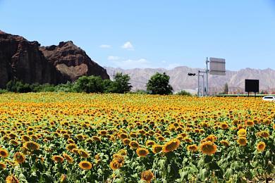 黑暗奇幻ARPG《Kristala》预告 化身猫战士解除诅咒